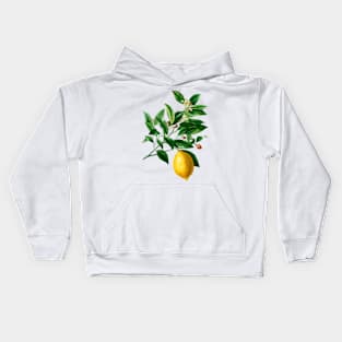 Lemon (Citrus Limonium)- Botanical Illustration Kids Hoodie